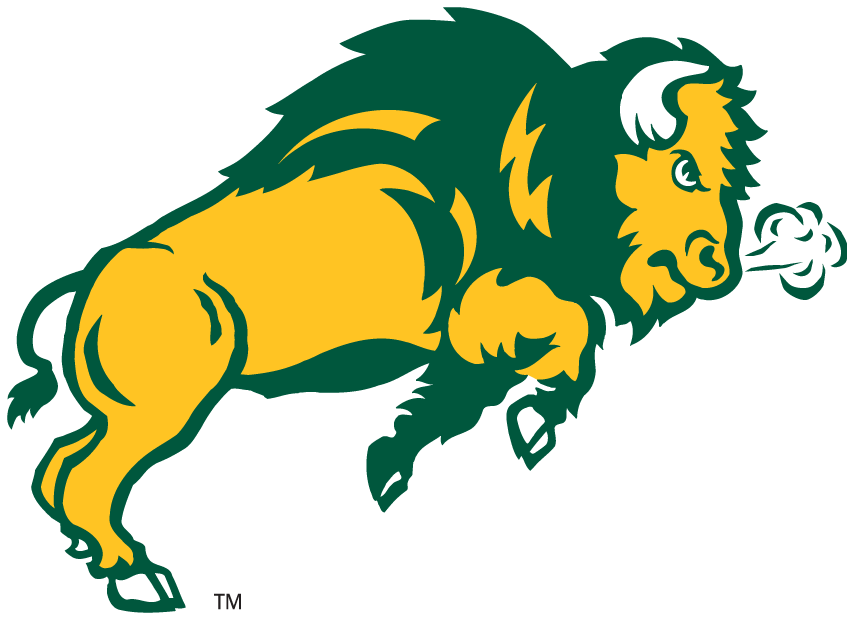 North Dakota State Bison 2006-2011 Secondary Logo diy DTF decal sticker